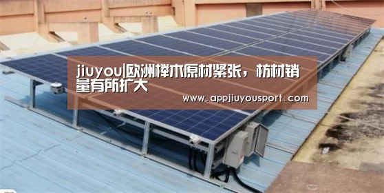 jiuyou|欧洲榉木原材紧张，枋材销量有所扩大
