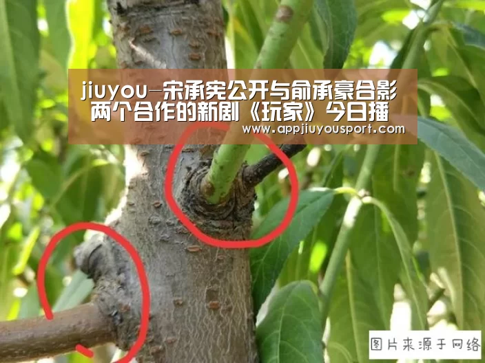 九游官网下载