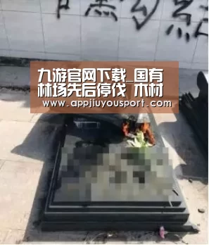 九游官网下载_国有林场先后停伐 木材供应更加依赖进口