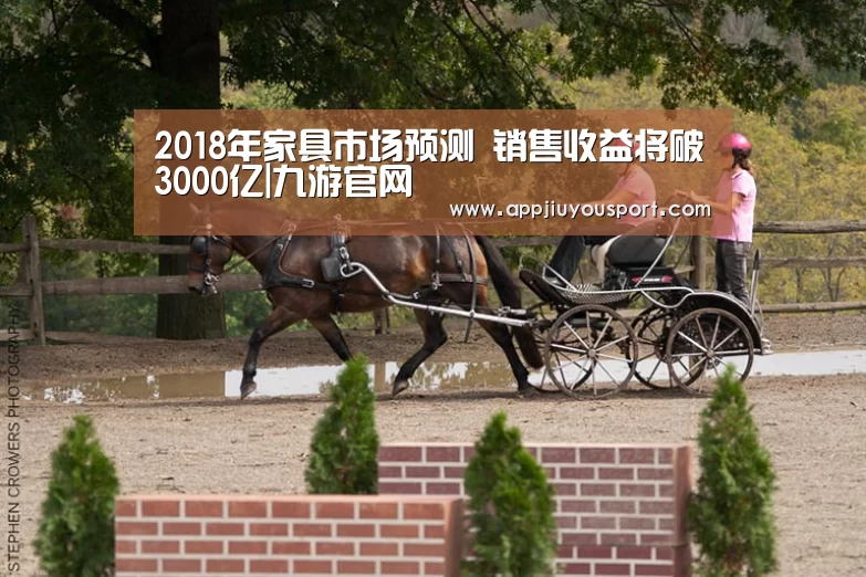 2018年家具市场预测 销售收益将破3000亿|九游官网