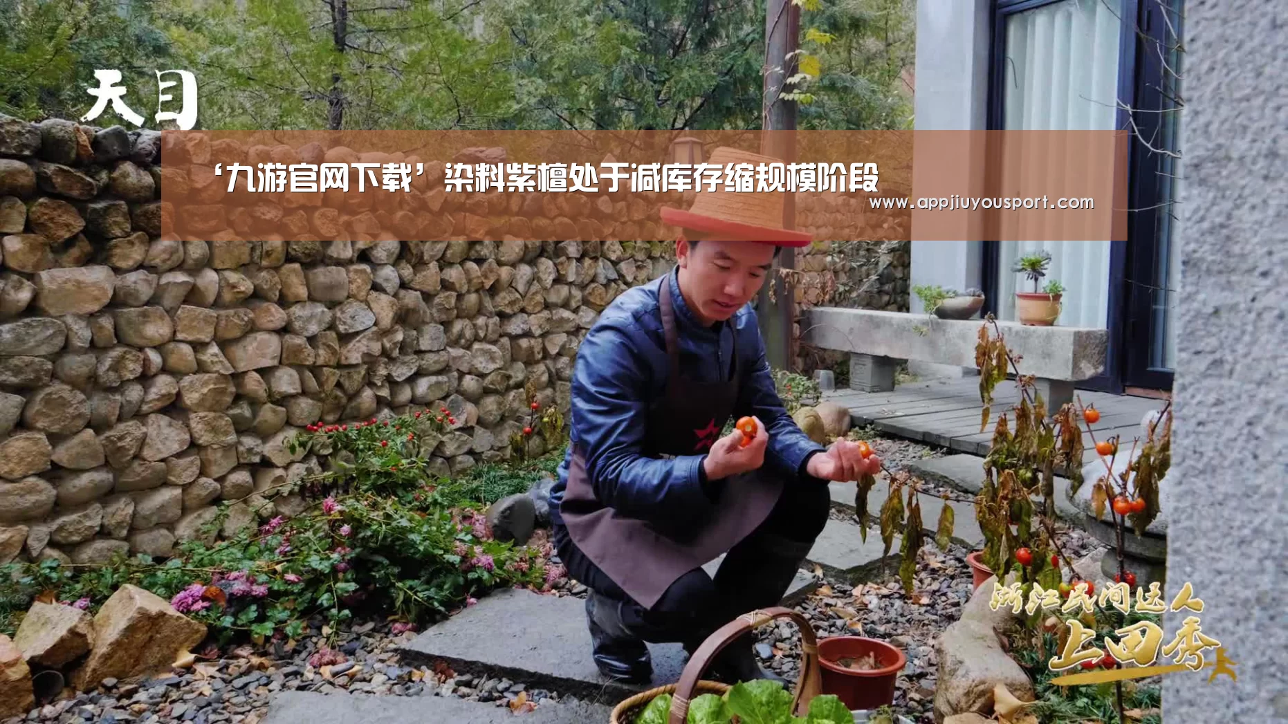 ‘九游官网下载’染料紫檀处于减库存缩规模阶段